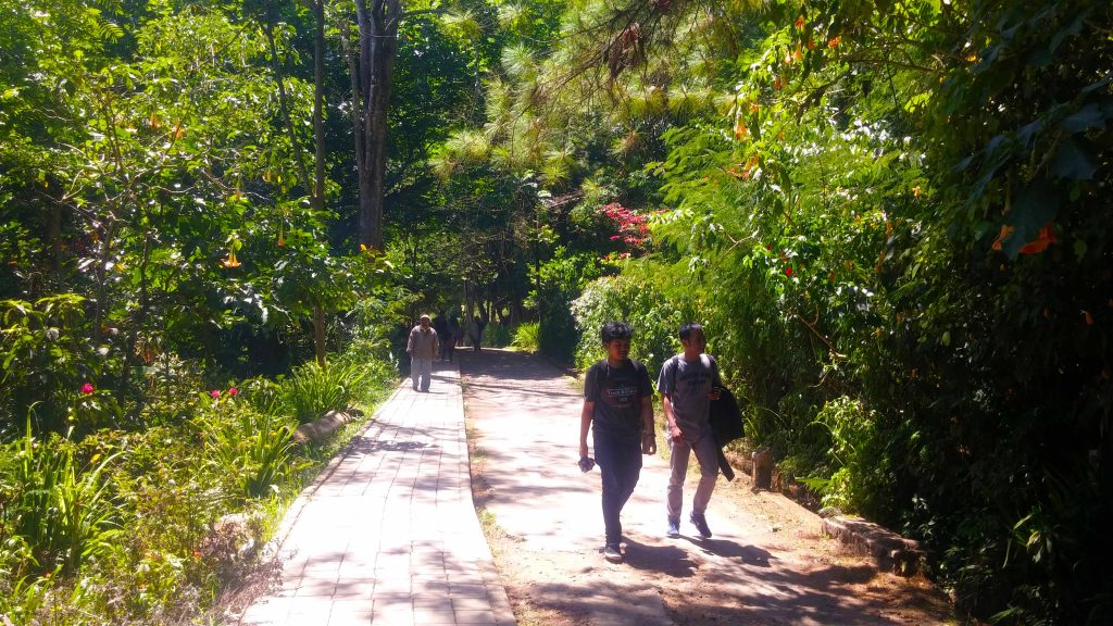 Menjelajahi Alam Taman Hutan Raya Ir. H. Djuanda Bandung