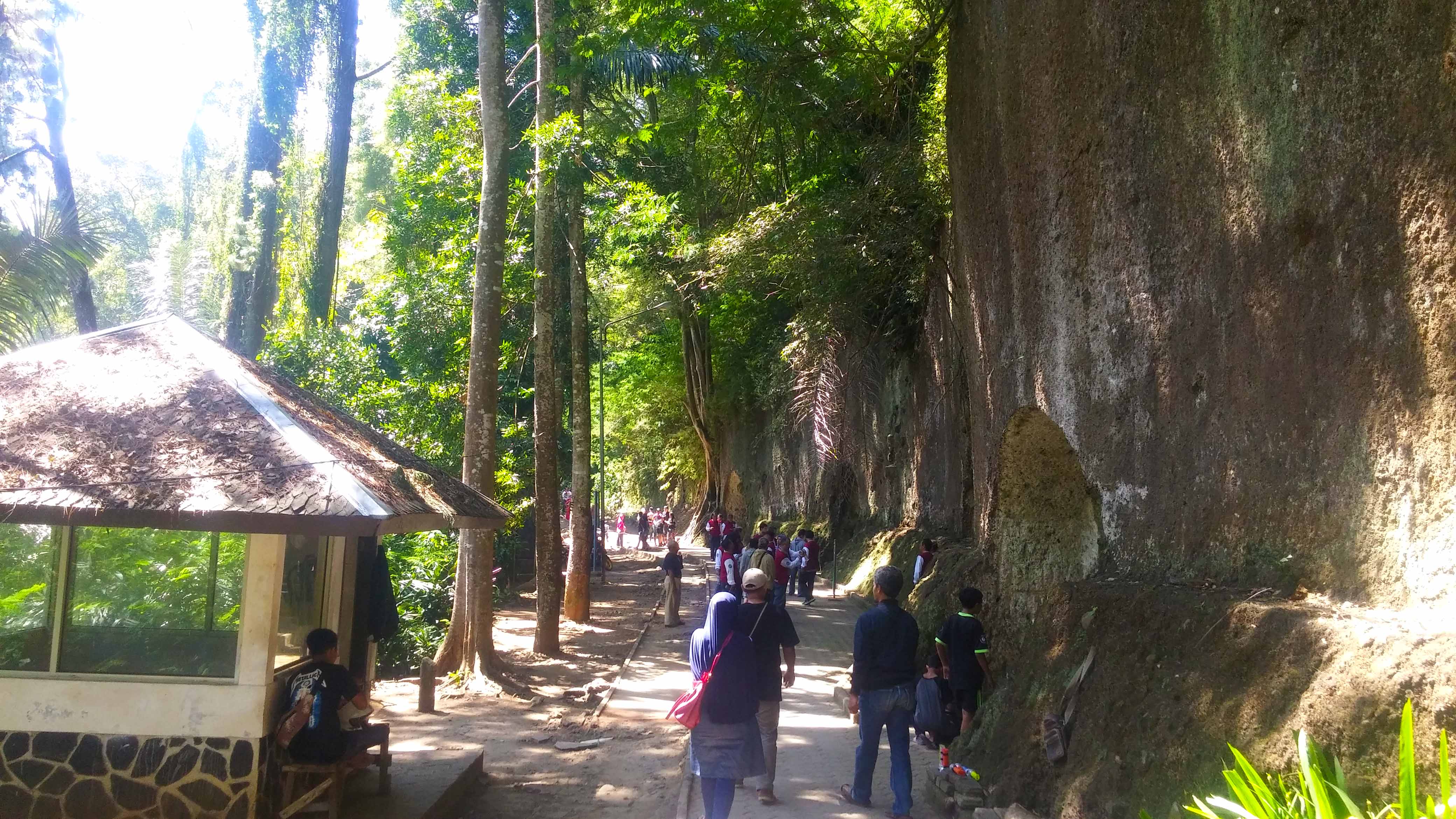 Menjelajahi Alam Taman Hutan Raya Ir. H. Djuanda Bandung